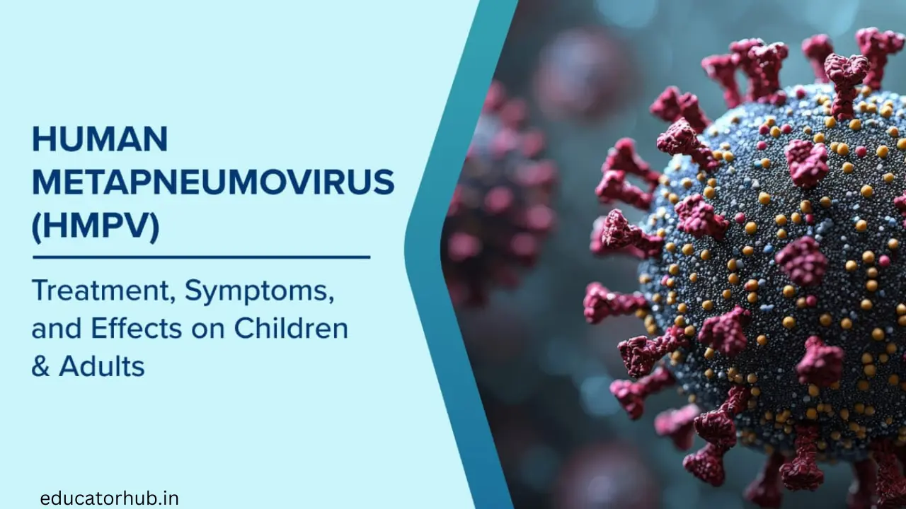 HMPV-Human Metapneumovirus